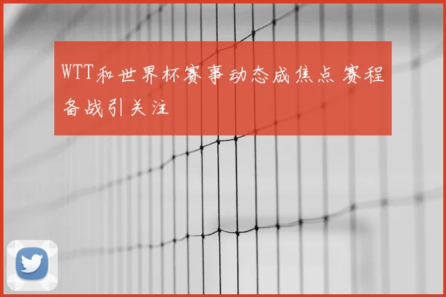 WTT和世界杯赛事动态成焦点 赛程备战引关注