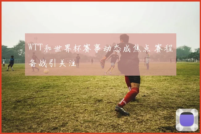 WTT和世界杯赛事动态成焦点 赛程备战引关注