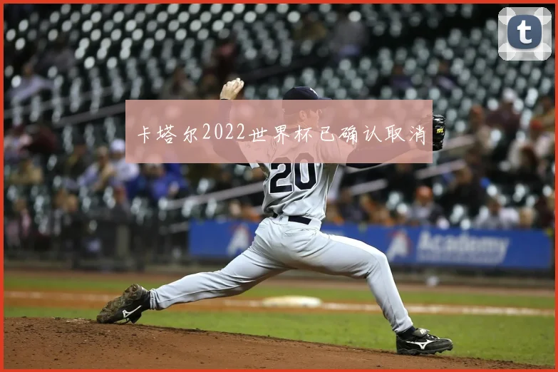 卡塔尔2022世界杯已确认取消