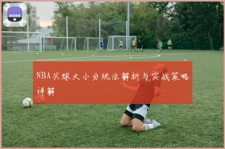 NBA买球大小分玩法解析与实战策略详解
