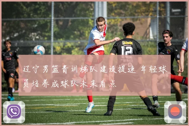 辽宁男篮青训梯队建设提速 年轻球员培养成球队未来看点