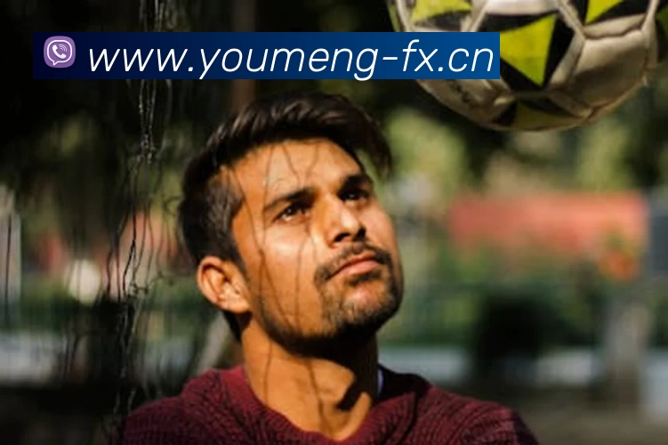 多媒体互动体验